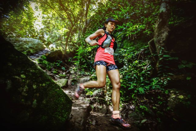 92830_trail-of-the-kings-promo-image.jpg